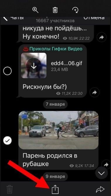 Как Скинуть Видео Файлом в Телеграмме • Альтернативный метод