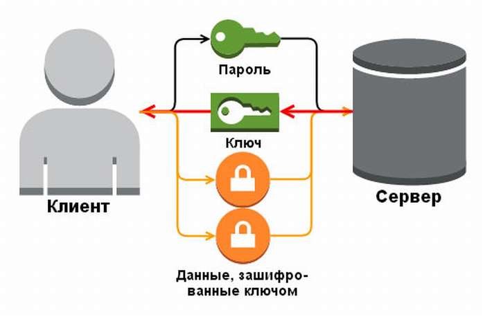 Взлом соседского Wi-Fi за 5 минут: 100% рабочие методы узнать пароль