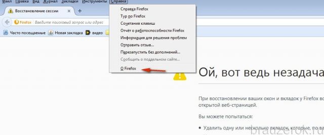 раздел «Справка»