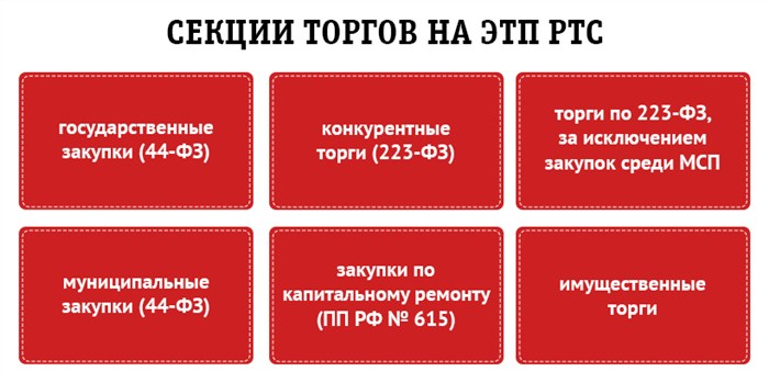 РТС Тендер: электронная площадка для торгов по банкротству №2